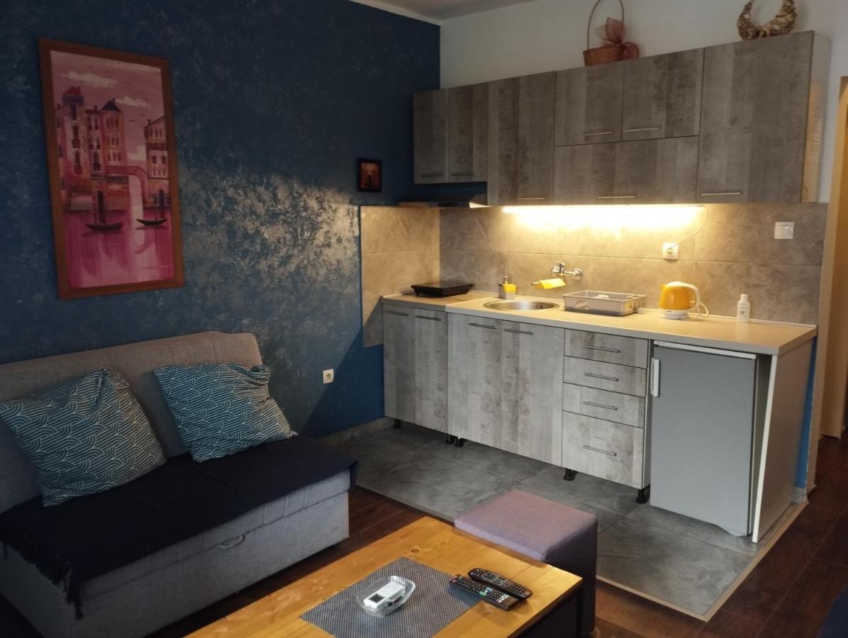 Apartman Tatjana نوفي ساد المظهر الخارجي الصورة